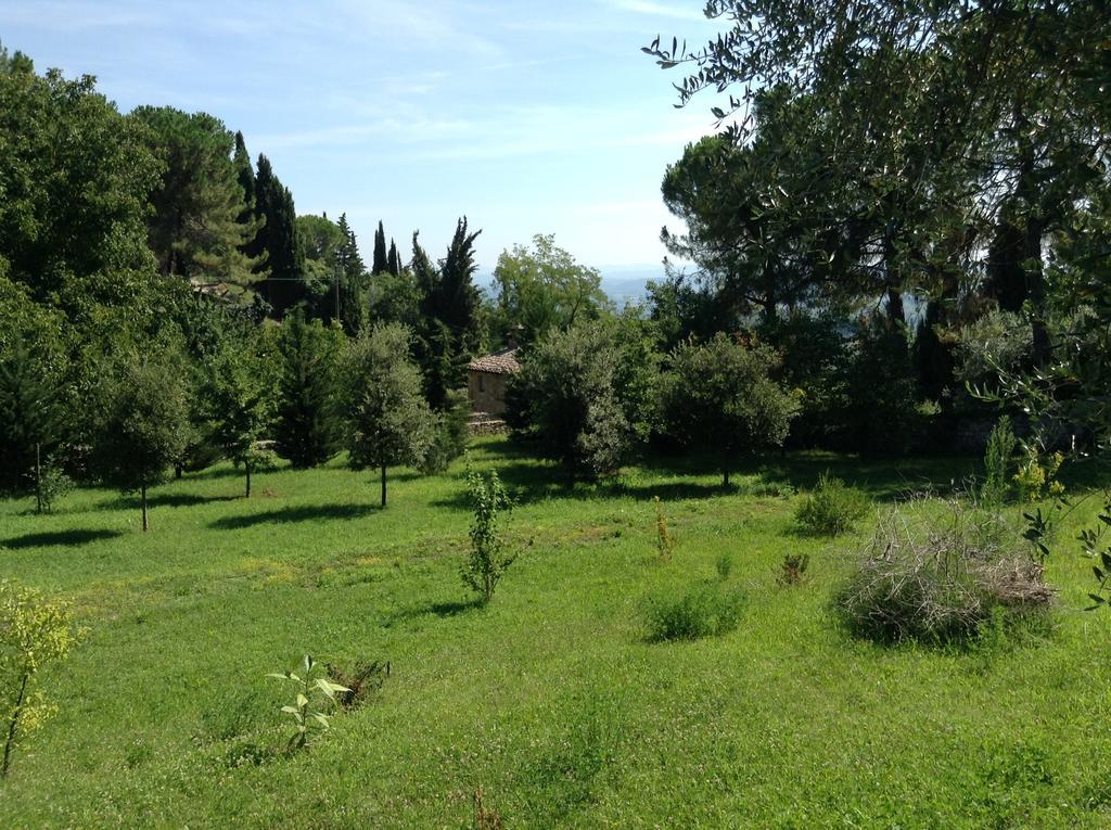 Le Romite Hotel San Gimignano Bagian luar foto